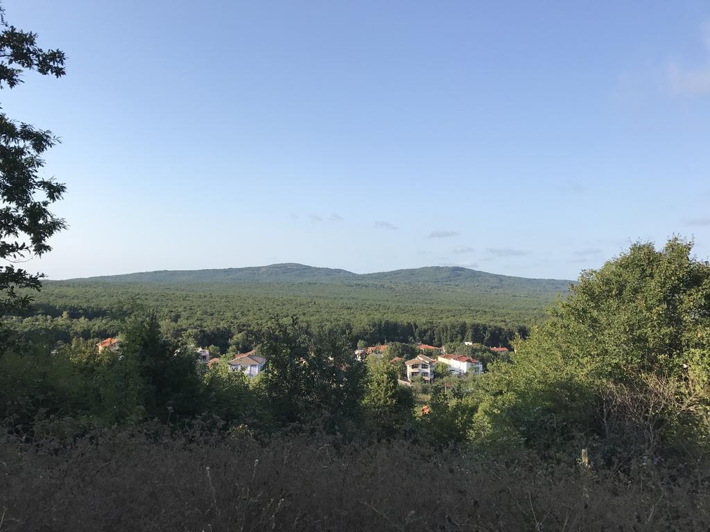 къща за гости вила роза * Приморско